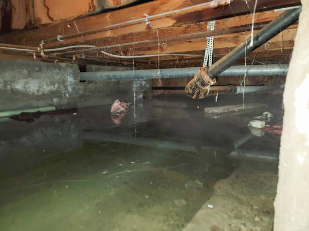 Best Sewage cleanup and water damage restoration  in East Shoreham, NY