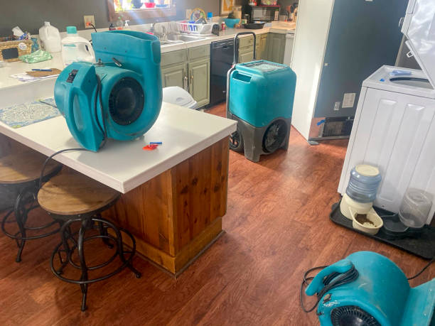 Best Commercial water damage restoration  in East Shoreham, NY