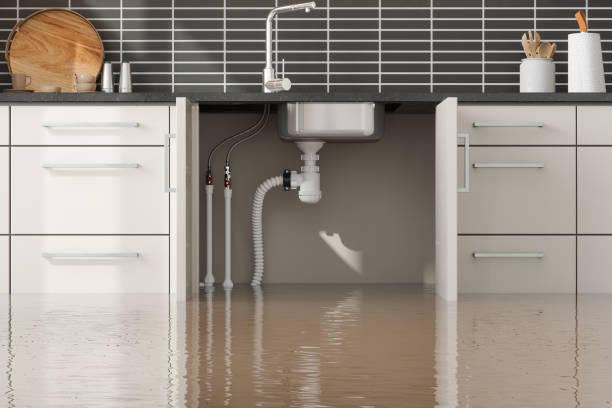 Best Water damage cleanup near me  in East Shoreham, NY